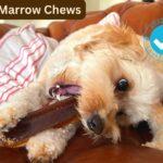 Bone Marrow Gelatin Beef chews